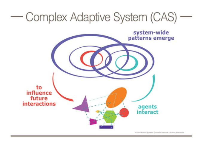 complex adaptive systems problem solving